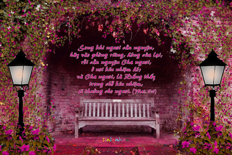 Cau-nguyen-noi-kin-nhiem