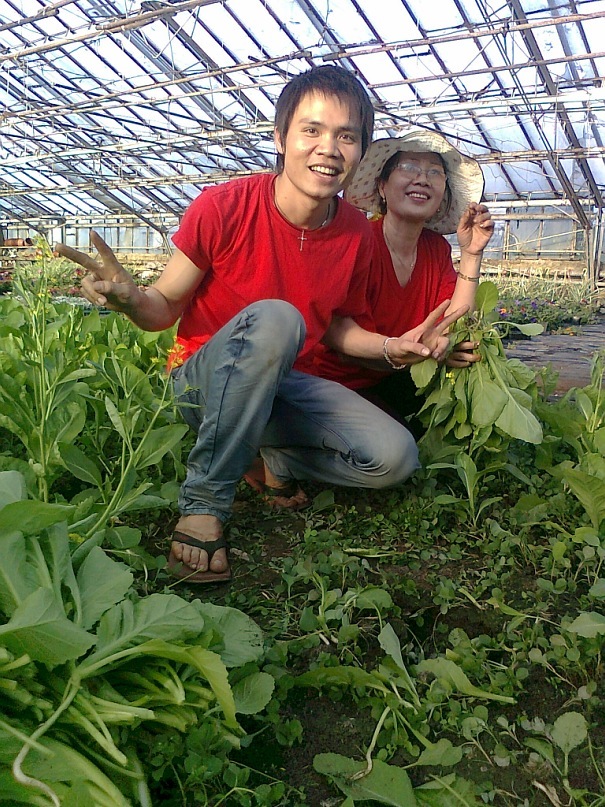 Nụ cười thu hoạch