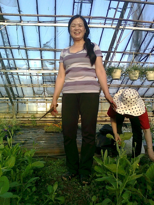 Để chị giúp nào!