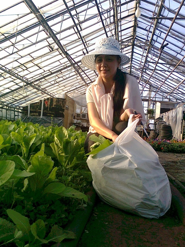 Nụ cười thu hoạch