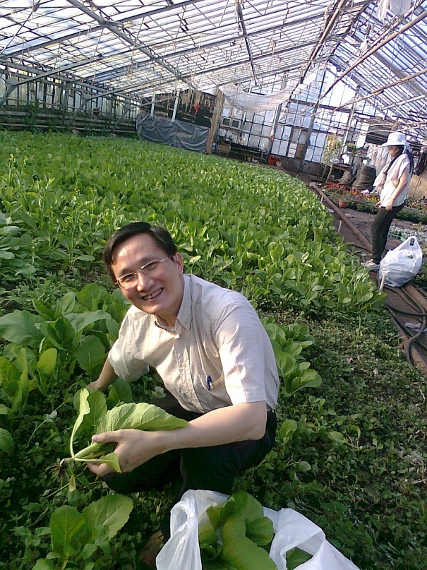 Nụ cười thu hoạch