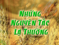 nhung-nguyen-tac-la-thuong-thumb